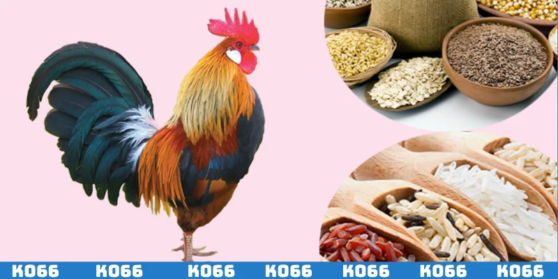 Chế độ dinh dưỡng là yếu tố quan trọng hàng đầu